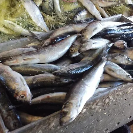 بيت للعطل To The Comfortable *