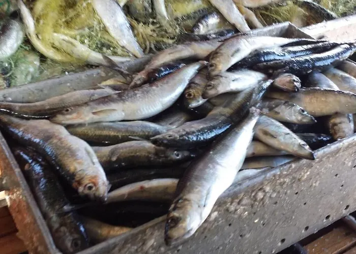 Tatil Evi To The Comfortable *